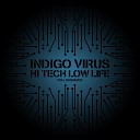 Indigo Virus - Peace Of Mind