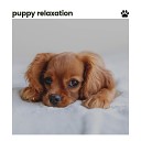 Music for Sleeping Puppies - Dog Serenade