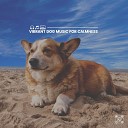 Music for Calming Dogs - Ultimate Chill Music for Your Dog Pt 35