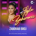Lejla Zahirovic - Zaboravi broj Cover