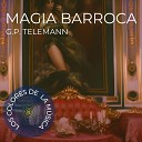 Schola Camerata - Concierto para Dos Flautas y Fagot 3 Cantabile Telemann Los Colores de la M…