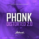 Dj Insanegaz feat MC GW MC Gil Do Andara - Phonk Distorted 2 0