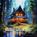 Светлана Кофанова feat… - Волшебный лес Radio Edit