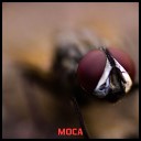 mc blacky - Moca