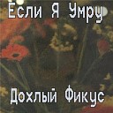 Дохлый Фикус - Если я умру