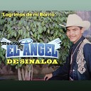 Hector El Angel De Sinaloa - Vida Truncada