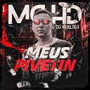Mc HD dj walter - Meus Pivetin