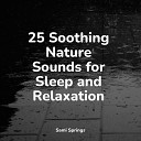Regen zum Schlafen Spa Brain Waves Isochronic Tones Brain Wave Entertainment Calming… - Beautiful Bird Song