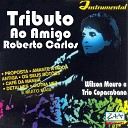 Wilson Mauro Trio Copacabana - O C ncavo e o Convexo