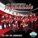 Orquesta Aguanile - Mix Bonny Lovy Quien Sera Desde Que La Vi