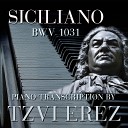 Tzvi Erez - Siciliano BWV 1031 Transc Erez
