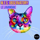 M F S Observatory - Le Lavandaie