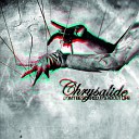 Chrysalide - 2010