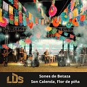 Los Del Sabor - Sones de Betaza Son Calenda Flor de Pi a