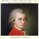 Joshua Choe - Piano Sonata No 6 in D Major K 284 D rnitz II Rondeau En…
