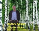 Андрей Качкин - Березы белые