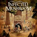Infected Mushroom - Riders on the Storm Infected Mushroom Remix