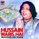 Shahzad Ali Khan - Hussain Waris Hai