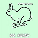 Big Bunny - Super Boom