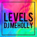 DJ MEHOLLY - Levels