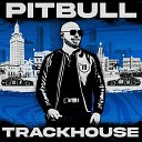 Pitbull feat Vikina - Let 039 s Take A Shot