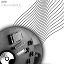2qimic - This Is A Seagull Original Mix