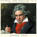 Joshua Choe - Piano Sonata No 15 in D Major Op 28 Pastorale IV Rondo Allegro Ma Non…