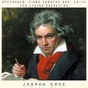 Joshua Choe - Piano Sonata No 21 in C Major Op 53 Waldstein II Introduzione Adagio…