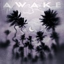 Money - Awake