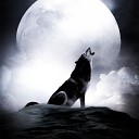 Блатной Удар - Одинокий волк