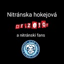 Dr Zetor - Nitr nska Hokejov