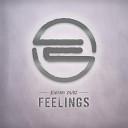 ENiGMA Dubz - Feelings