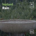 Thunder Storms Rain Sounds - Conscious Rain