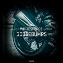 Whitesforce DJ Alex K Car Music - Goosebumps