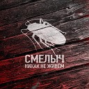 СМЕЛЫЧ - Никак не живем