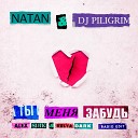 Natan DJ Piligrim - Ты Меня Забудь Alex Shik Kolya Dark Radio Edit Sefon…