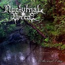 Nocturnal Breeze - Lament for the Indifferent