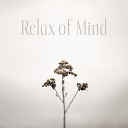Peaceful Mind Music Consort - Blessing Soul