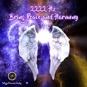 Emiliano Bruguera - 2222Hz Angels Will Guide You through Unknown…