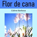 Cidinei Barbosa - Flor de Cana