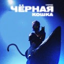 CHEPIKK - Черная кошка