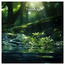 TerraAura - Thundering Forest Rain