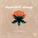 Da Sacnite - Downhill Sheep