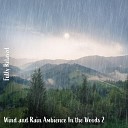 Steve Brassel - Wind and Rain Ambience in the Woods Pt 1