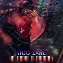 Bigg Zane - Не Верю В Любовь