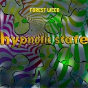 Forest Weed - Hypnotic State