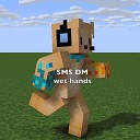 Sms DM - Wet Hands From Minecraft Lofi Hip Hop