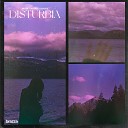 mgZr - Disturbia