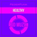 FederFunk - Healthy Original Mix