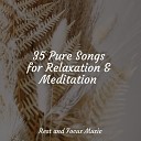 The Relaxation Principle The White Noise Zen Meditation Sound Lab Anxiety… - Dreamy Clouds
